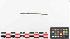 Foto von Bronzenähnadel (NHMW-PRAE-023720)